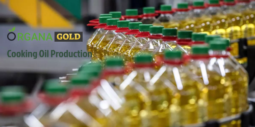 Cooking Oil Production - Organa Gold Mustard Oil